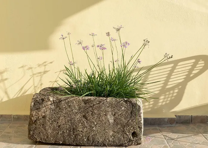 Апартаменты Camara